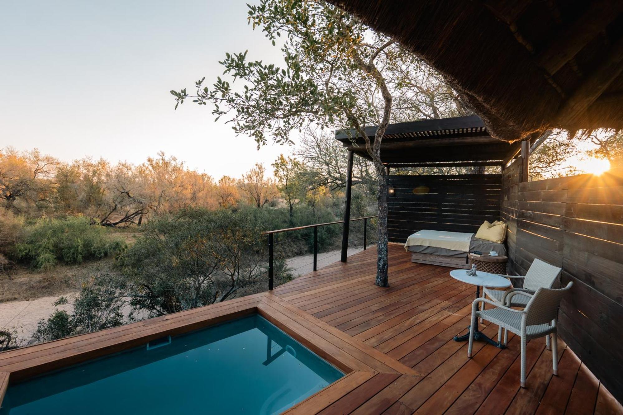 Thornybush Simbambili Lodge Sabi Sand Vadrezervátum Kültér fotó