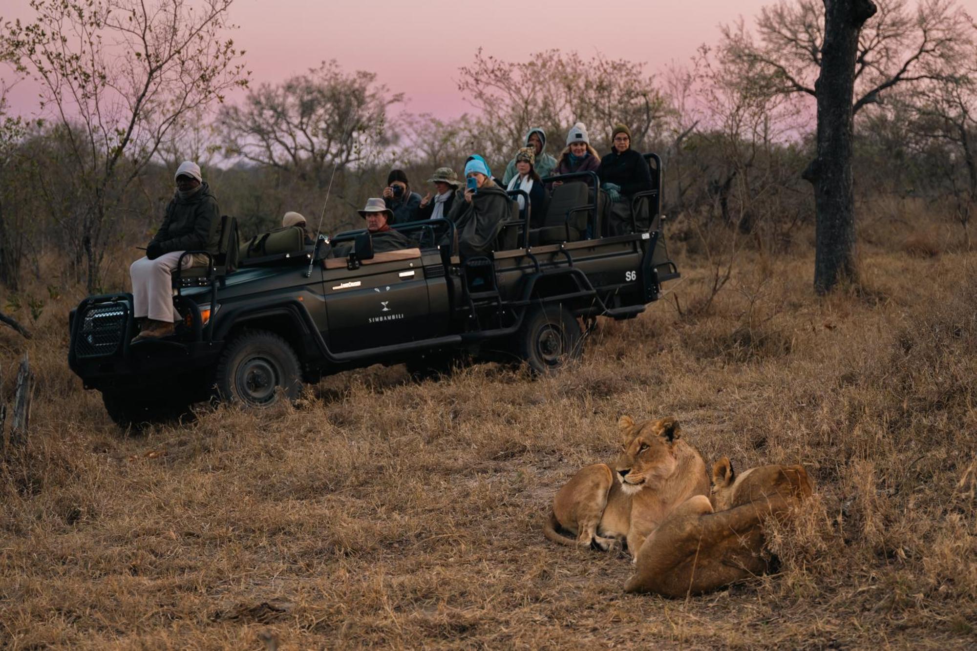 Thornybush Simbambili Lodge Sabi Sand Vadrezervátum Kültér fotó