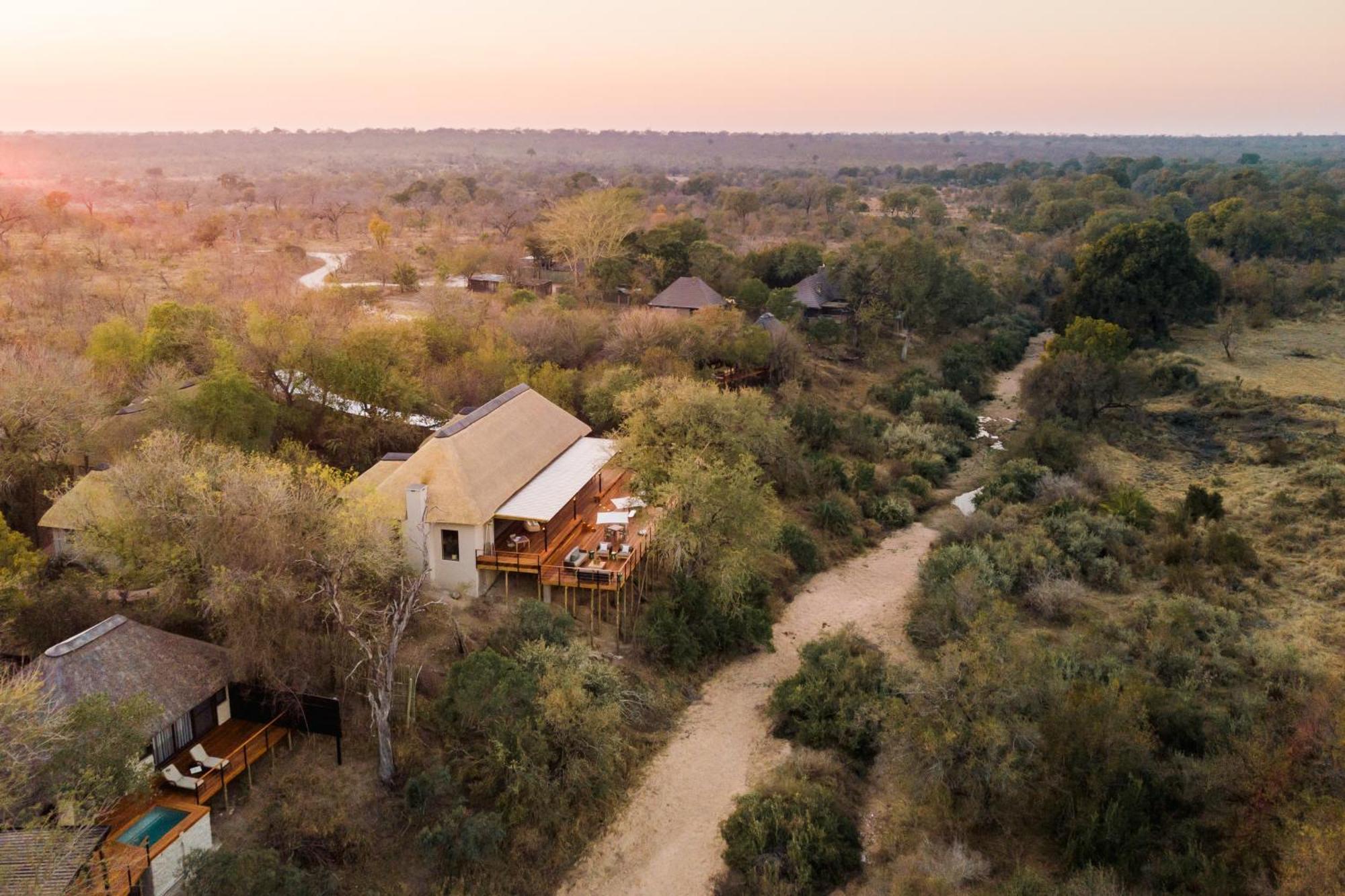 Thornybush Simbambili Lodge Sabi Sand Vadrezervátum Kültér fotó