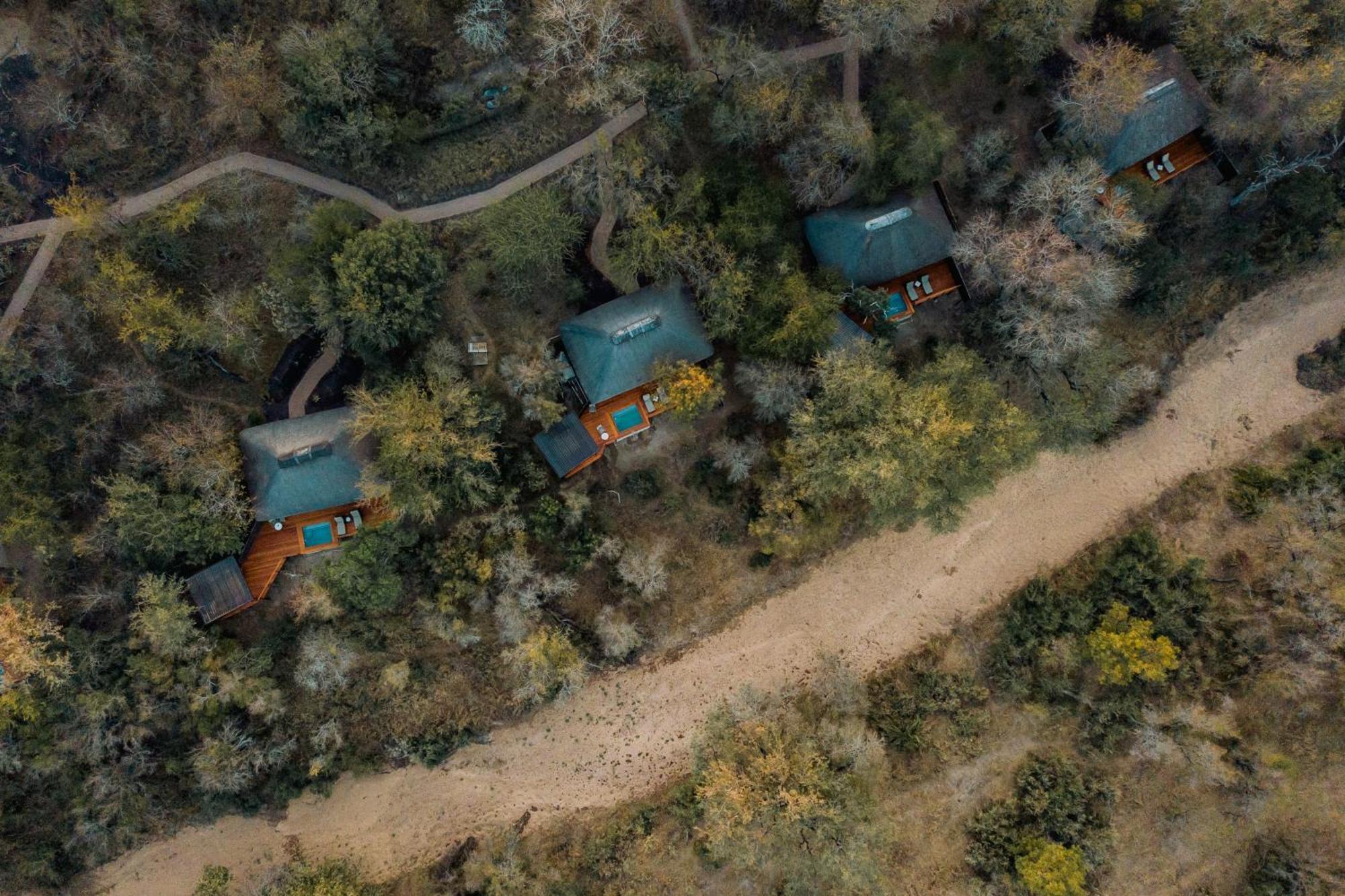 Thornybush Simbambili Lodge Sabi Sand Vadrezervátum Kültér fotó