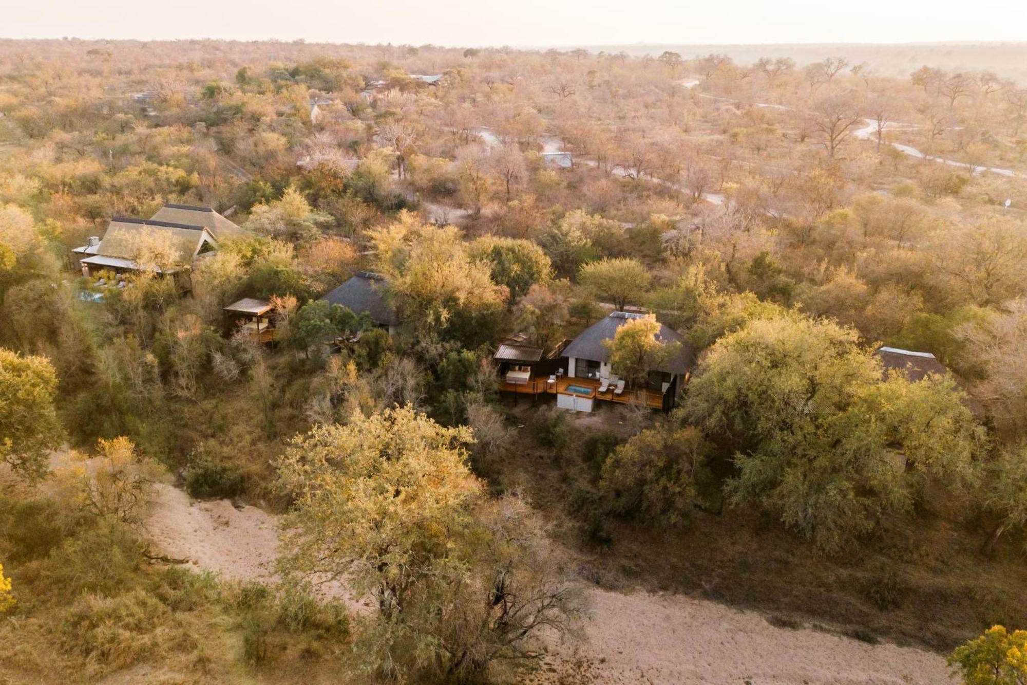 Thornybush Simbambili Lodge Sabi Sand Vadrezervátum Kültér fotó