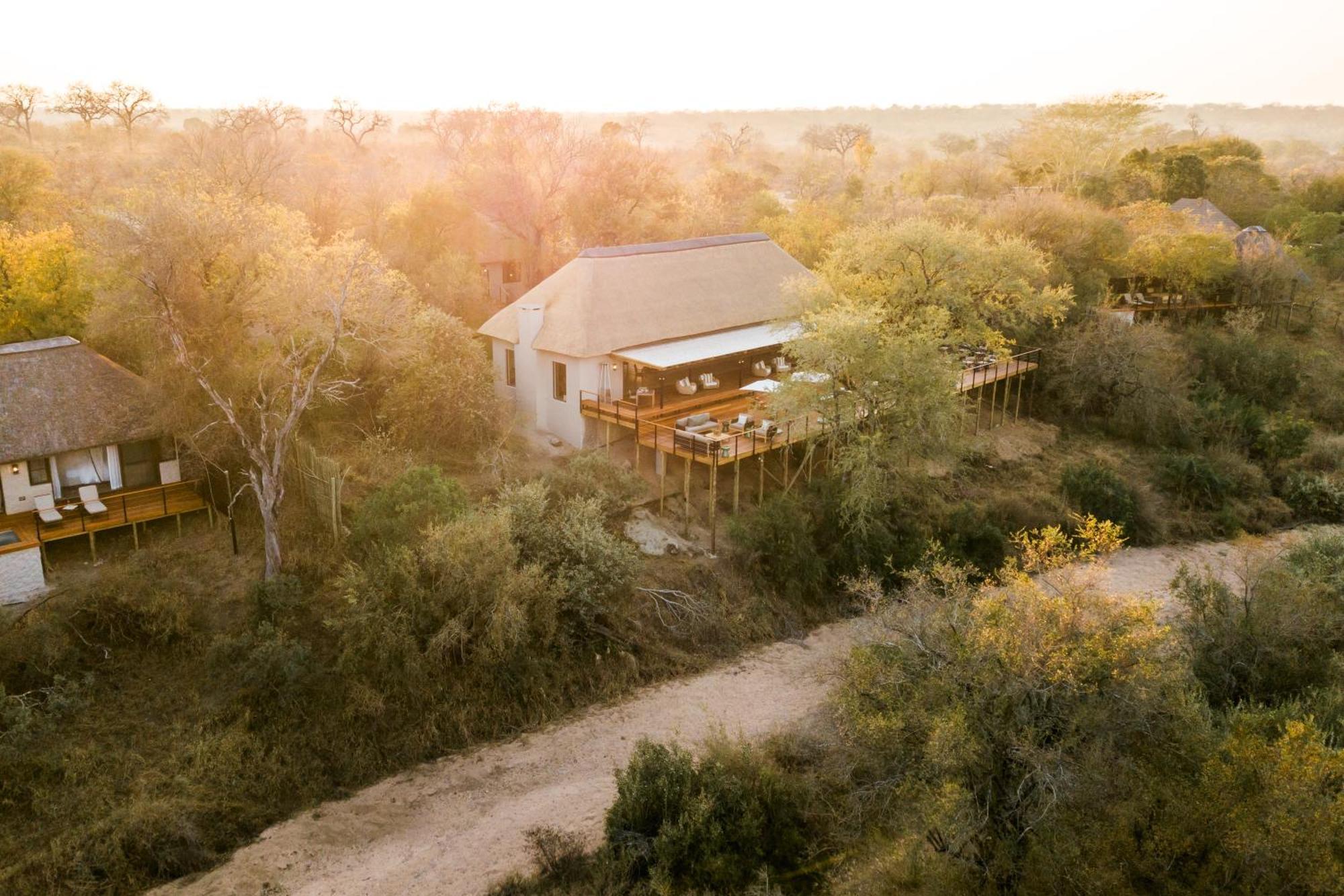 Thornybush Simbambili Lodge Sabi Sand Vadrezervátum Kültér fotó